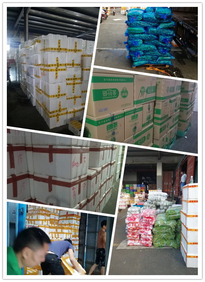 beat·365(中国)唯一官方网站