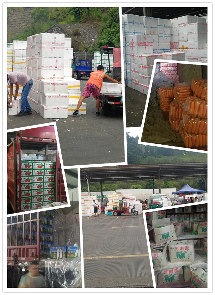 beat·365(中国)唯一官方网站