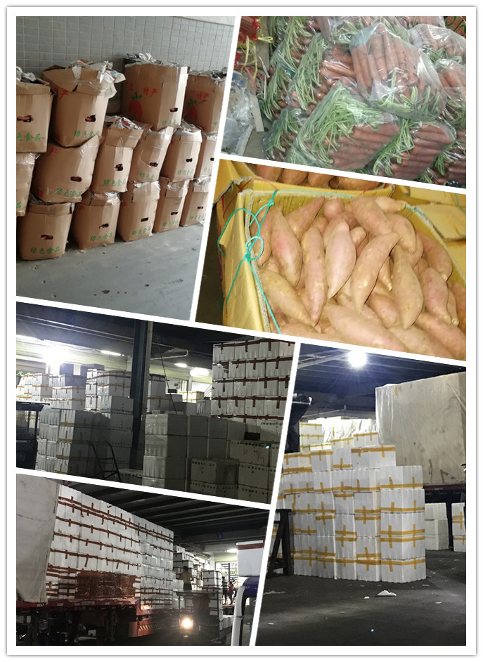 beat·365(中国)唯一官方网站