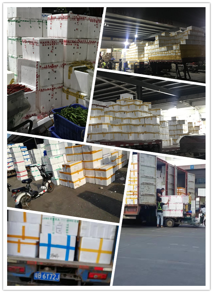 beat·365(中国)唯一官方网站