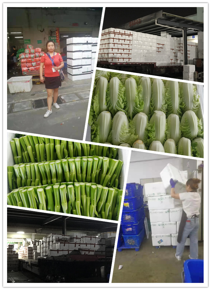 beat·365(中国)唯一官方网站