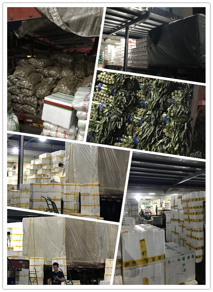 beat·365(中国)唯一官方网站