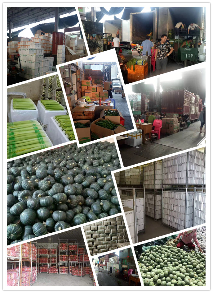 beat·365(中国)唯一官方网站