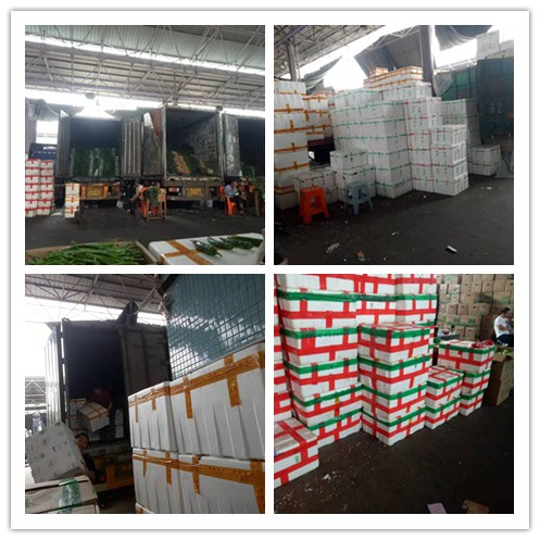 beat·365(中国)唯一官方网站