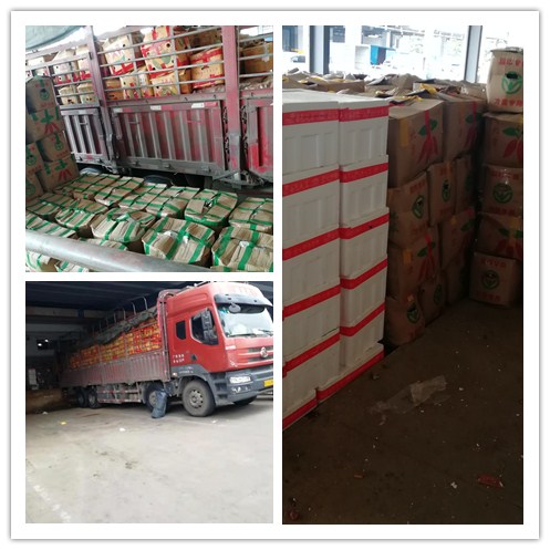 beat·365(中国)唯一官方网站