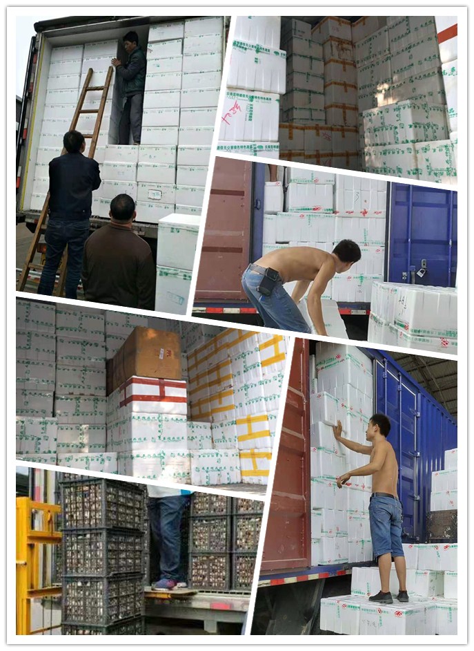 beat·365(中国)唯一官方网站