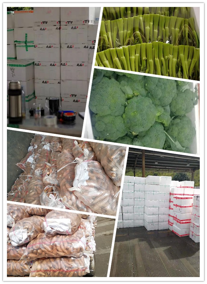 beat·365(中国)唯一官方网站