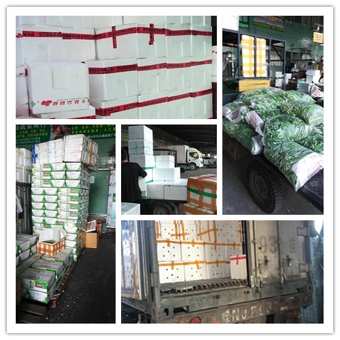 beat·365(中国)唯一官方网站