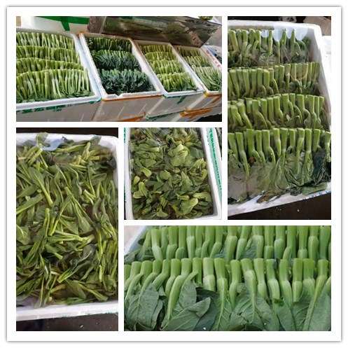 beat·365(中国)唯一官方网站