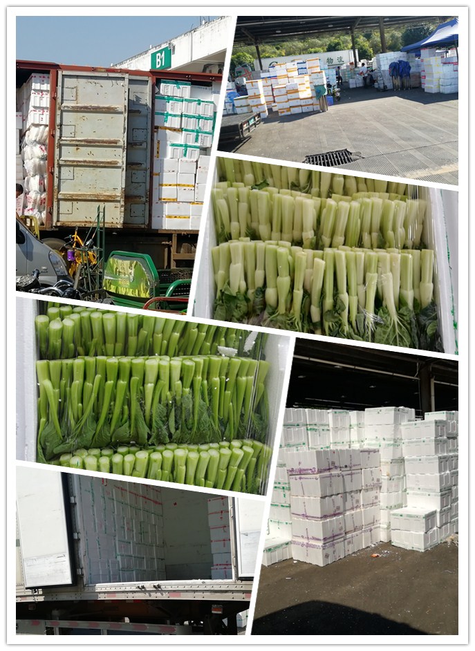 beat·365(中国)唯一官方网站