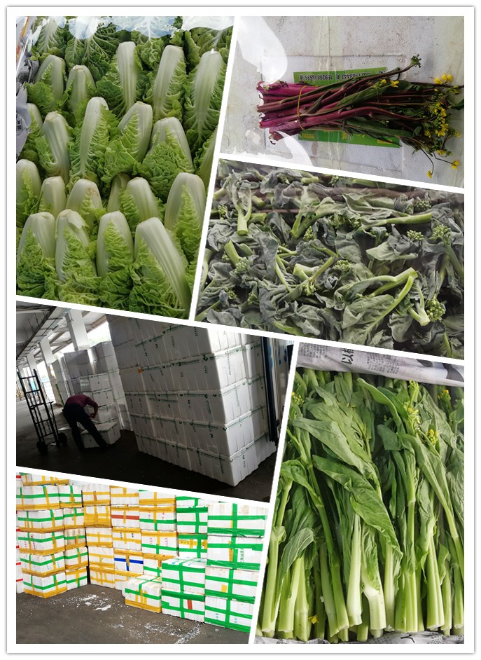 beat·365(中国)唯一官方网站