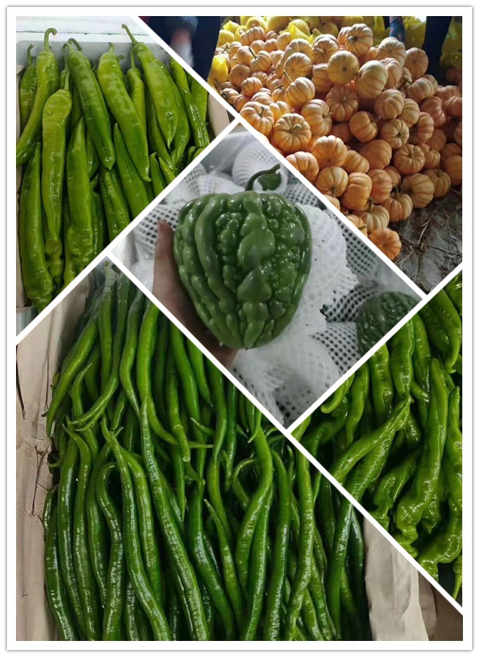 beat·365(中国)唯一官方网站