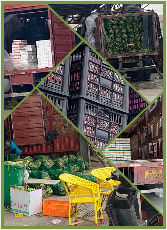 beat·365(中国)唯一官方网站