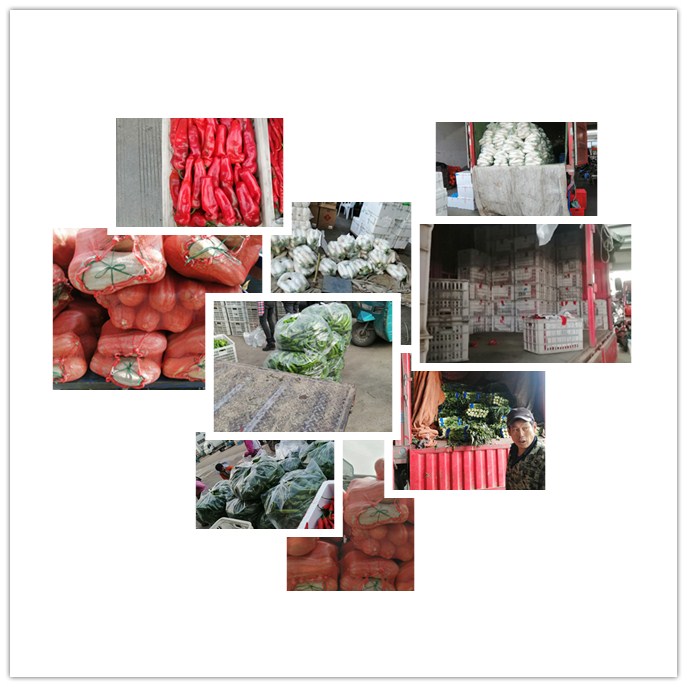 beat·365(中国)唯一官方网站