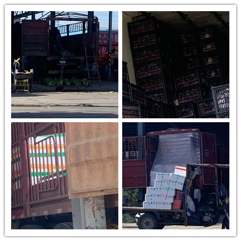 beat·365(中国)唯一官方网站