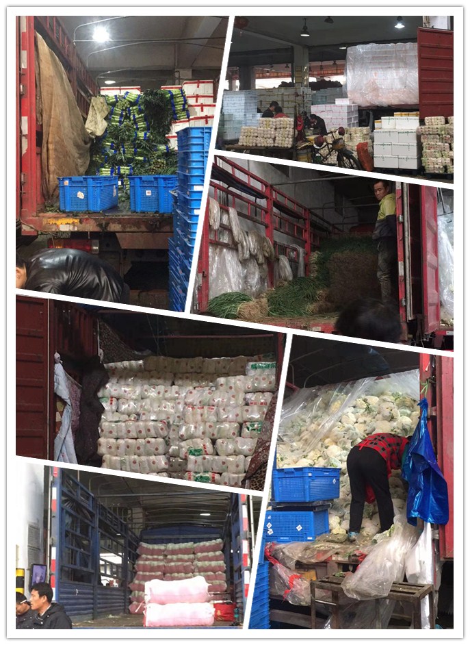 beat·365(中国)唯一官方网站