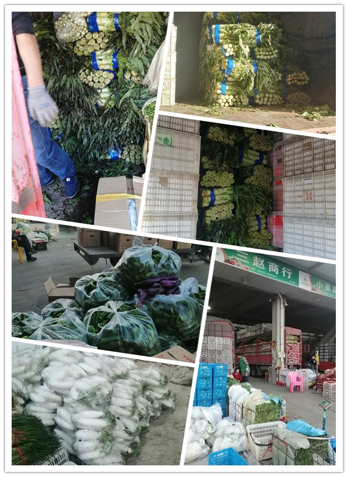 beat·365(中国)唯一官方网站