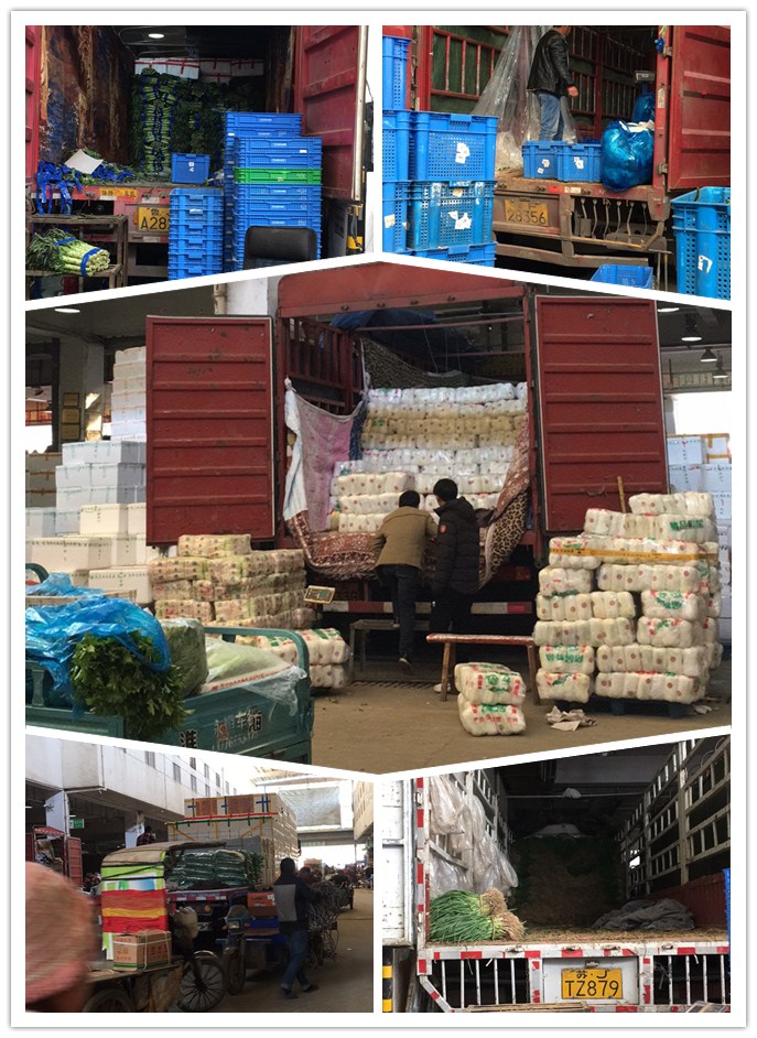 beat·365(中国)唯一官方网站