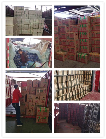 beat·365(中国)唯一官方网站