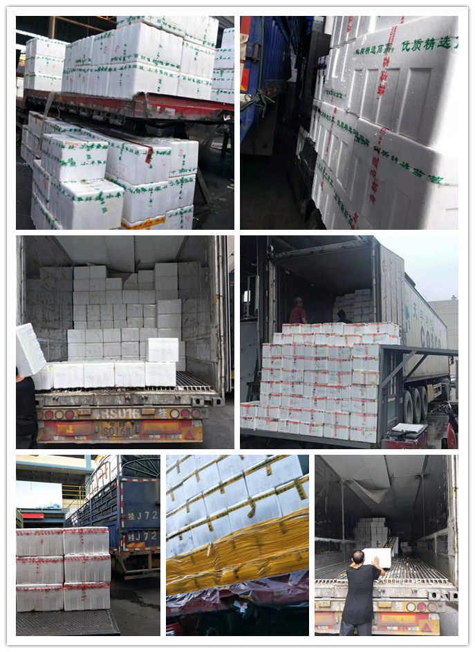 beat·365(中国)唯一官方网站