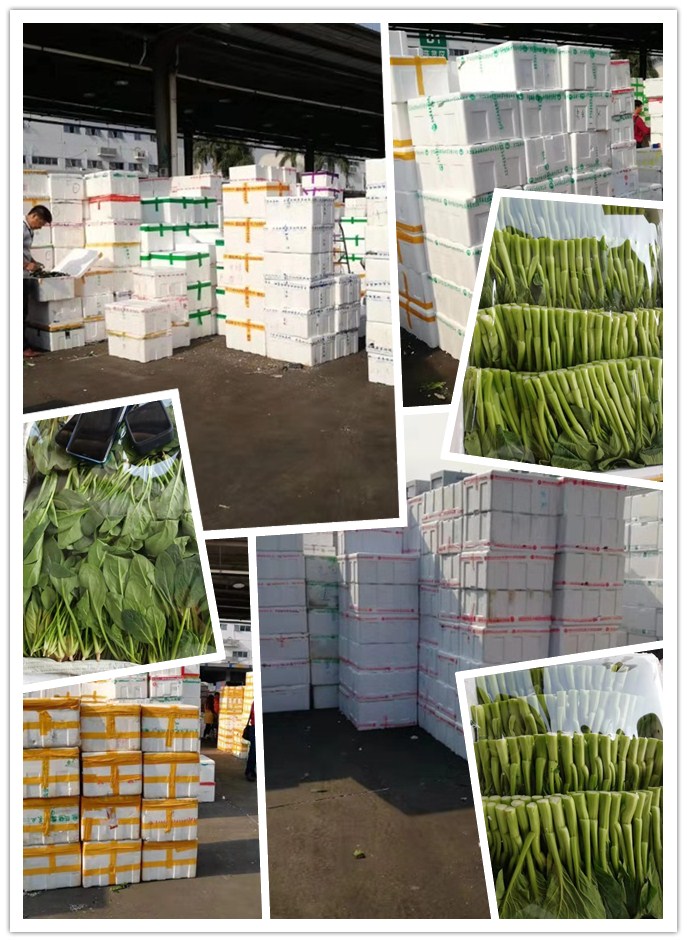 beat·365(中国)唯一官方网站