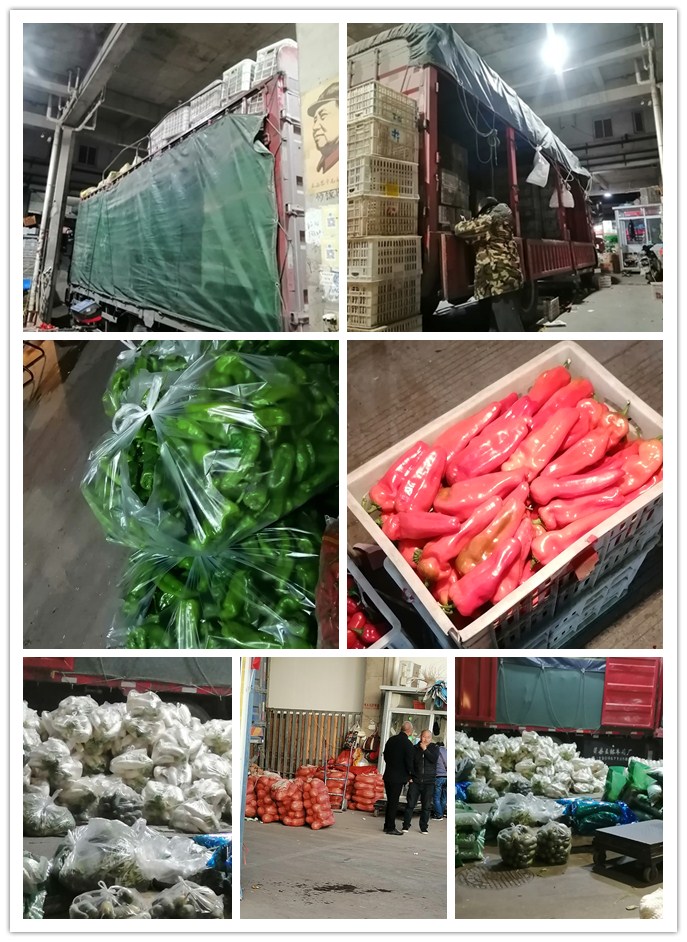 beat·365(中国)唯一官方网站