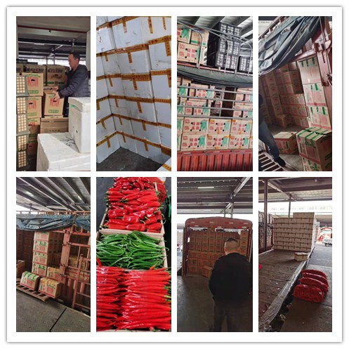 beat·365(中国)唯一官方网站