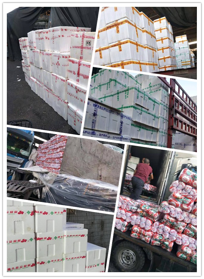 beat·365(中国)唯一官方网站