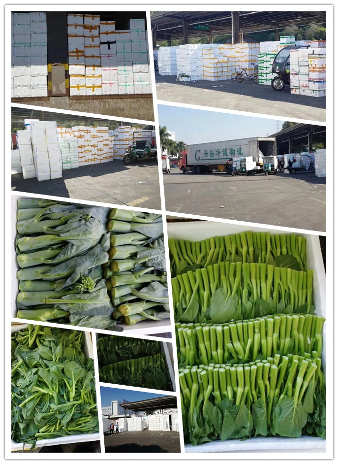 beat·365(中国)唯一官方网站