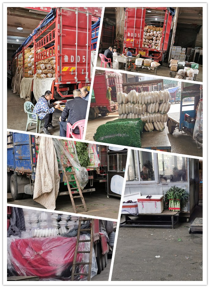 beat·365(中国)唯一官方网站