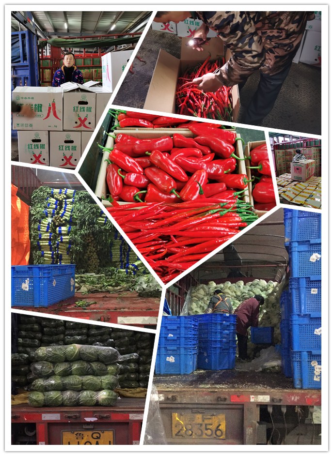 beat·365(中国)唯一官方网站