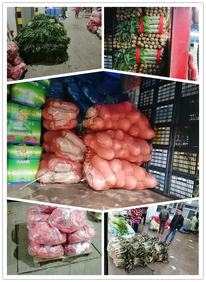 beat·365(中国)唯一官方网站