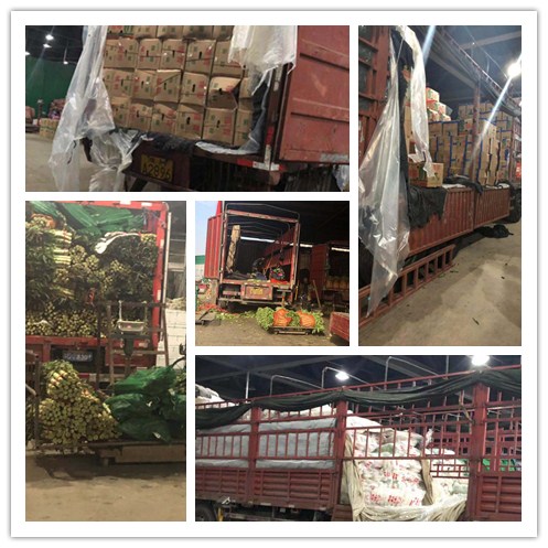 beat·365(中国)唯一官方网站