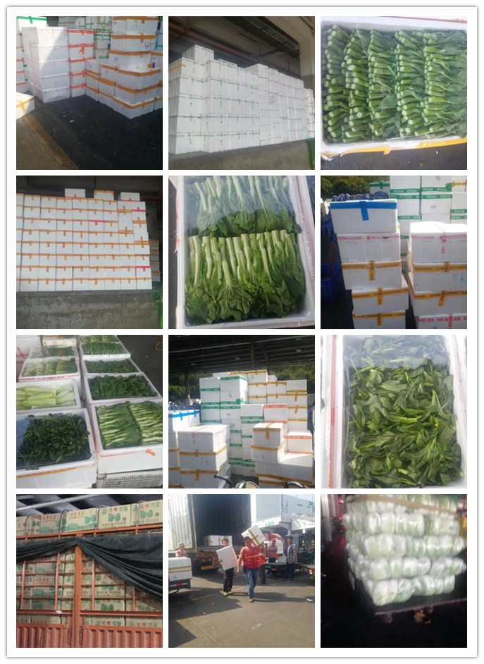 beat·365(中国)唯一官方网站