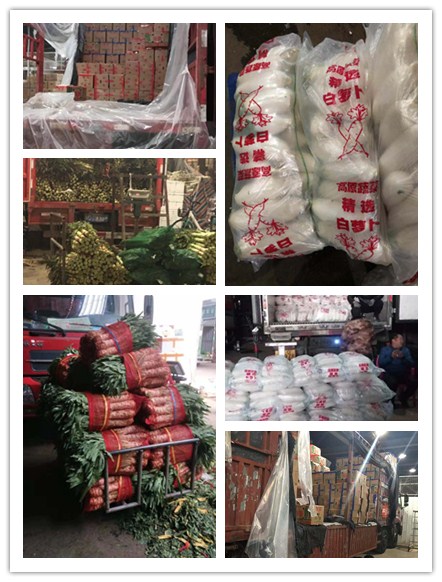 beat·365(中国)唯一官方网站