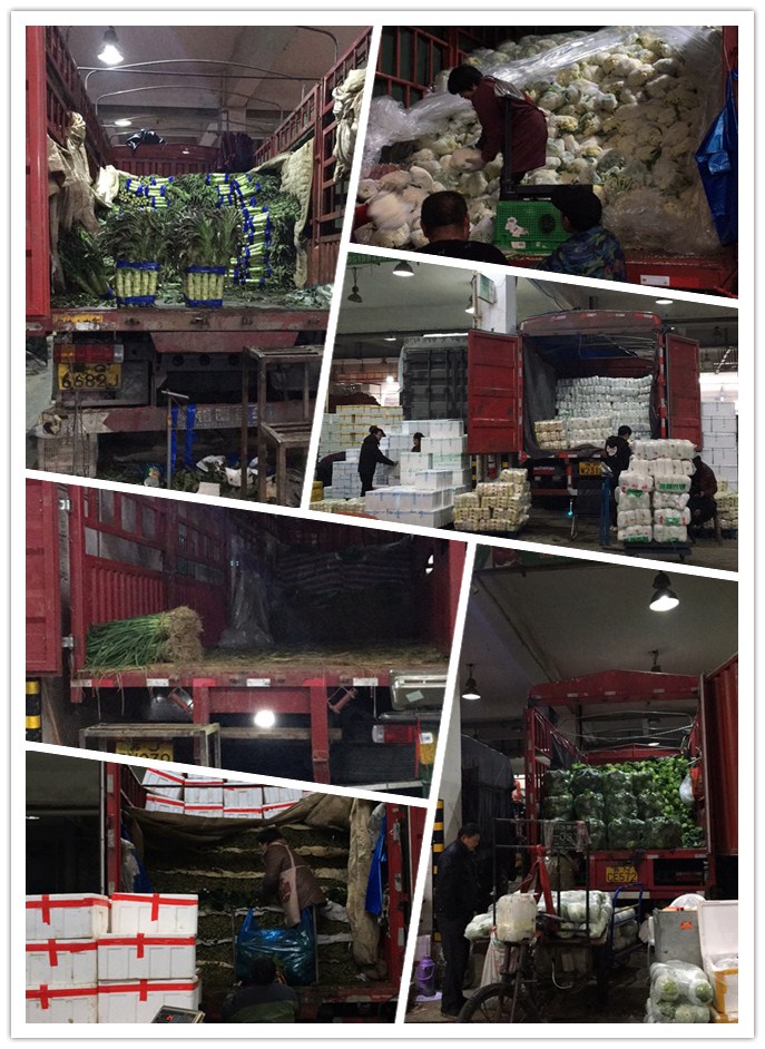 beat·365(中国)唯一官方网站