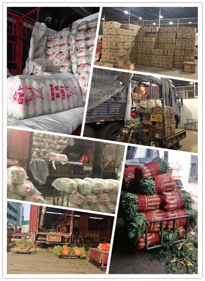 beat·365(中国)唯一官方网站