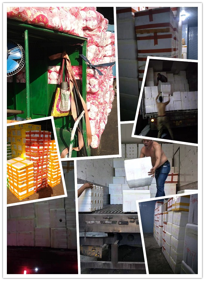 beat·365(中国)唯一官方网站