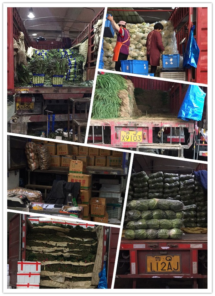 beat·365(中国)唯一官方网站