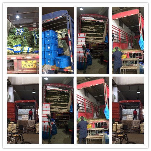 beat·365(中国)唯一官方网站