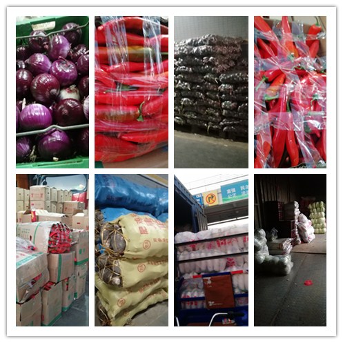 beat·365(中国)唯一官方网站