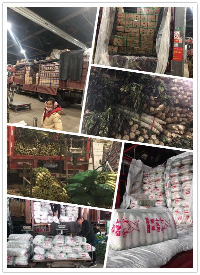 beat·365(中国)唯一官方网站