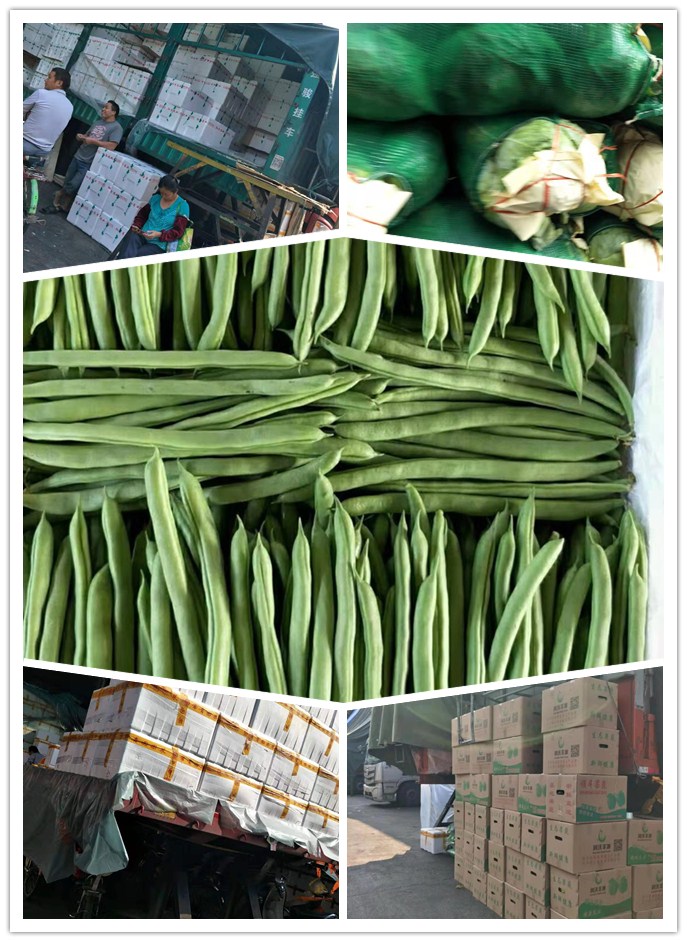 beat·365(中国)唯一官方网站