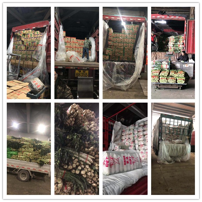 beat·365(中国)唯一官方网站