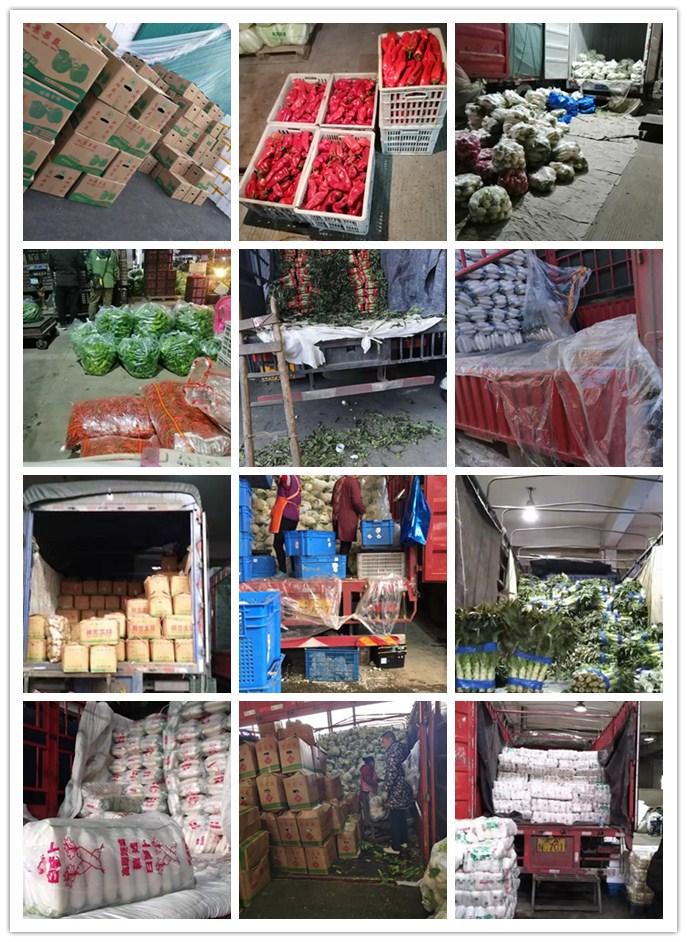 beat·365(中国)唯一官方网站