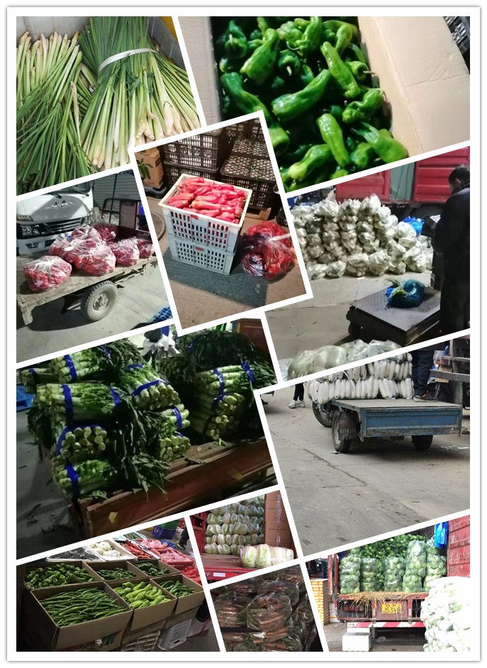 beat·365(中国)唯一官方网站