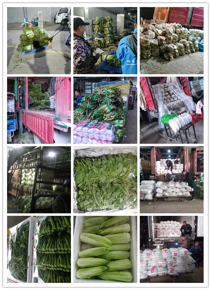 beat·365(中国)唯一官方网站