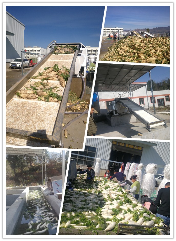 beat·365(中国)唯一官方网站