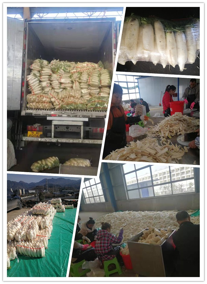 beat·365(中国)唯一官方网站