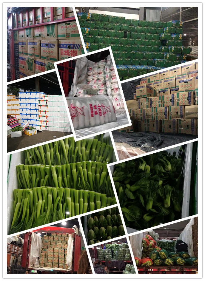 beat·365(中国)唯一官方网站